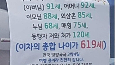 경적을 누를 수 없게 만드는 차