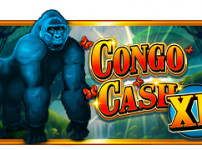 Congo Xash XL (콩고 캐쉬 XL)