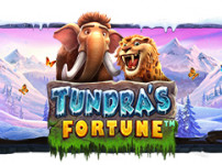 Tundra's Fortune (툰드라 포춘)