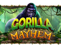 Gorilla Mayhem (고릴라 메이햄)