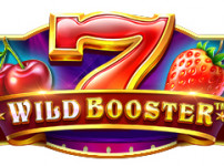 Wild Booster (와일드  부스터)