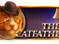 The Catfather (더 캣파더)