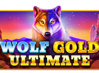 Wolf Gold Ultimate (울프 골드 얼티메이트)