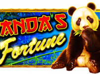 Panda's Fontune (판다 포춘)