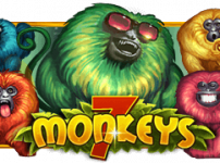 7 Monkeys (세븐 몽키즈)