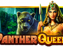 Panther Queen (팬더 퀸)