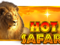 Hot Safari (핫 사파리)