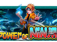 Power of Ninja (파워 오브 닌자)