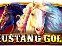 Mustang Gold (머스탱 골드)