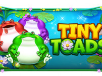 Tiny Toads (타이니 토드)
