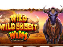 Wild Wildebeest Wins (와일드 윌더비스트 윈)