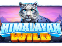 Himalayan Wild (히말라얀 와일드)