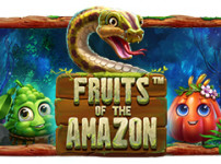 Fruits og the Amazon (아마존의 열매)