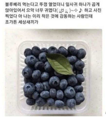 c9fa857a054dfdf7aae47e19895948fa_1743000517_9589.png