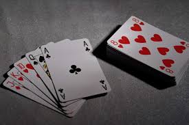 5135226bb92d16670d30e4b943b1d7f8_1745742116_1806.jpg