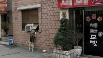 모텔 훔쳐보다 걸림