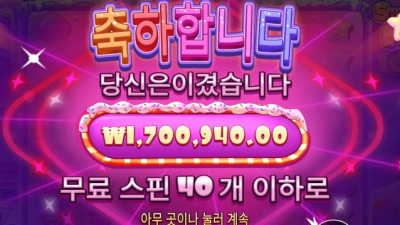 뉴헤븐 후기
