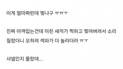 모텔에서 샤넬 스타킹 찢어져 빡친 ㅅㅍ녀