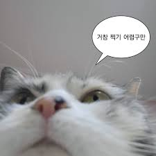 60001a2bf522c6fa62912a3657ba823b_1746259333_9358.png