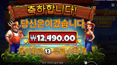 반야드 메가헤이즈 13스핀