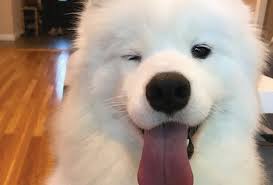 7d75d9dbd6ffadb362c7ac2840d695af_1750585405_725.jpg