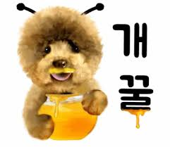 afab1a7435a6d0c3cd99c89f7586e291_1748873960_6692.png