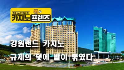 규제의 덫에 발이 묶인 강원랜드