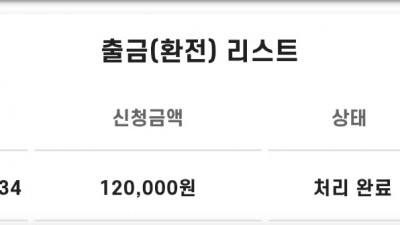 비제휴 후기