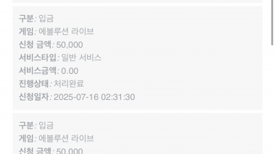 뉴헤븐 후기