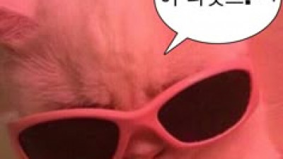 욕심 안 부리니까 따지네
