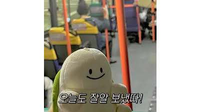 터질듯한 판