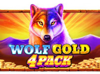 Wolf Gold 4 Pack (울프 골드 4 팩)