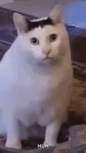 8526e6105a63a896b42ef459320629c5_1757627109_2839.png