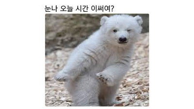 프라그에 이쁜눈나들많네