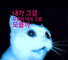 008b50d51c62f4044bcdcfbc3482b9b1_1761344127_7238.png 008b50d51c62f4044bcdcfbc3482b9b1_1761344127_7238.png