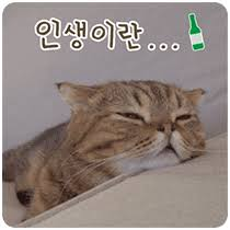 114fc7bc36893ceb0d3e0b72e4b571bd_1760309833_6988.png