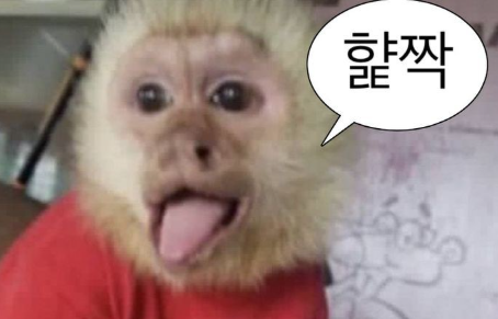 271e962924af4d489b56028be970473c_1760567777.png