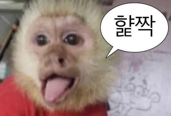 330f55e50c5e39b1f89a7993cf47862f_1760284310_456.png
