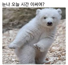 954129a889efe6a9135275d936a14bb2_1761917198_1382.png 954129a889efe6a9135275d936a14bb2_1761917198_1382.png