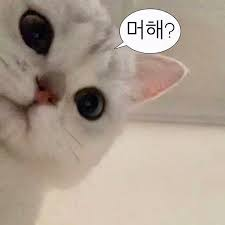 d177096732bf74fa81a287e3a29820f8_1761856422_2826.png d177096732bf74fa81a287e3a29820f8_1761856422_2826.png