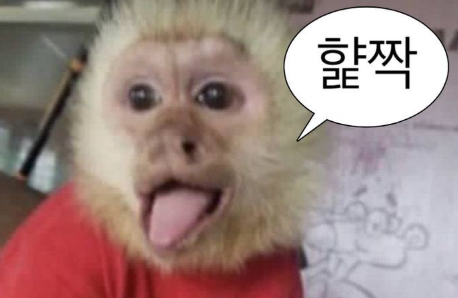 fefa01dadb6224e45422b2c3370a238f_1760485979_248.png
