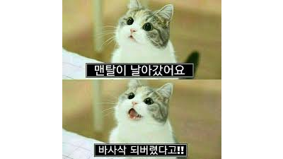 멘탈 바사삭이네