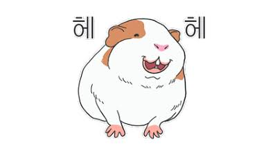 수익보고나왔지 ㅅㅅ