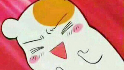 이게 바로 시스템벳의 위력