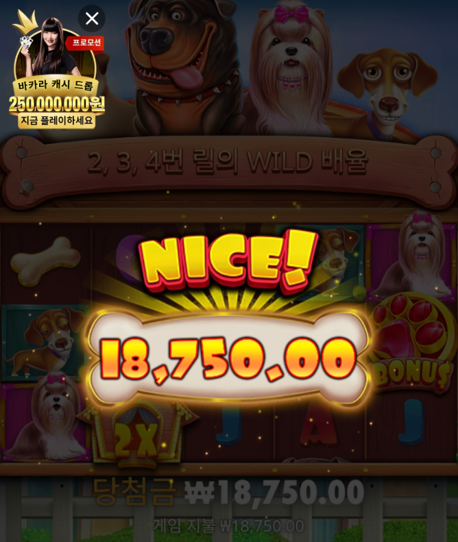 1048bcaae40e2a992b31558a97498c52_1762303853_671.png 1048bcaae40e2a992b31558a97498c52_1762303853_671.png