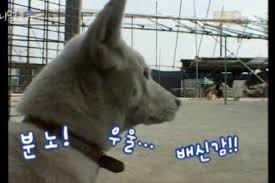 16061e6fd36240314bbc6c06736cdf36_1762547424_5795.png 16061e6fd36240314bbc6c06736cdf36_1762547424_5795.png