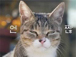 2767e80e778b67f46ab9c4671f44b2d4_1763041922_8093.jpg 2767e80e778b67f46ab9c4671f44b2d4_1763041922_8093.jpg