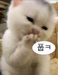 34bde3e971d2a45cfc729e74f55bd1dd_1761925168_1384.png 34bde3e971d2a45cfc729e74f55bd1dd_1761925168_1384.png