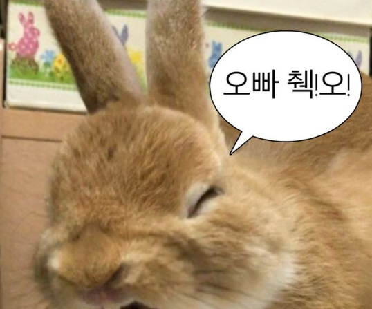 37573131d73c56e4f0d7a409bff1b75c_1762559600_7963.png 37573131d73c56e4f0d7a409bff1b75c_1762559600_7963.png