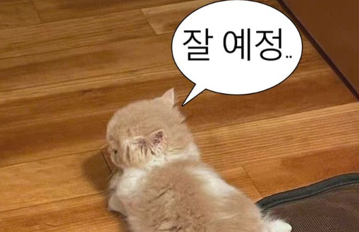 5db7e7e153e0066bb87be5d14f21519a_1762560096_6931.png 5db7e7e153e0066bb87be5d14f21519a_1762560096_6931.png